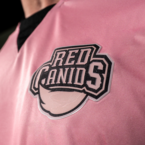 PINK CANIDS 2025 - PRÉ VENDA 